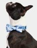 Home & Lifestyle | Camo Printed Easy Attach Pet Bow Home & Lifestyle Home & Lifestyle